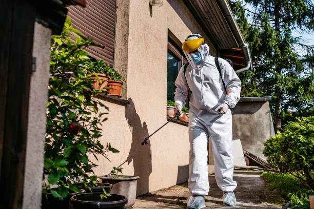 Best Bed Bug Extermination  in Newk, AR