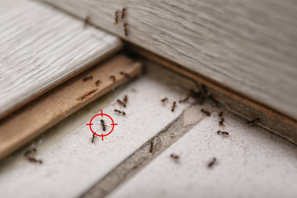 Pest Control for Restaurants in Newark, AR