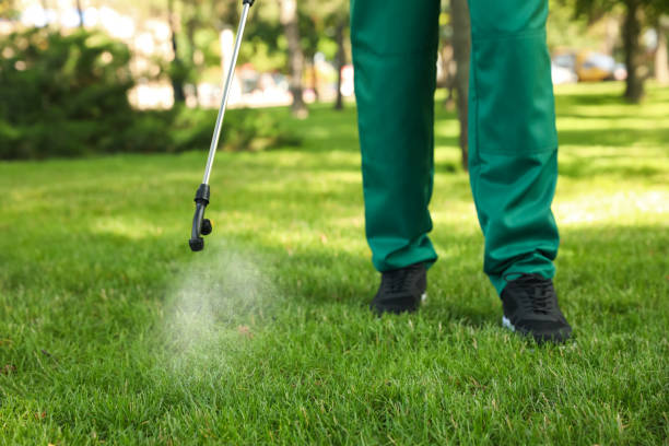 Best Emergency Pest Control  in Newk, AR