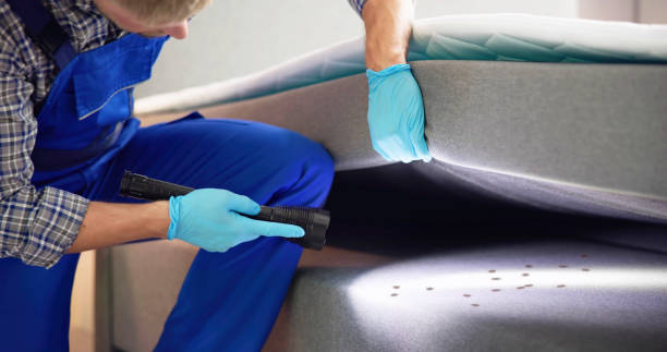 Best Pest Removal Services  in Newk, AR