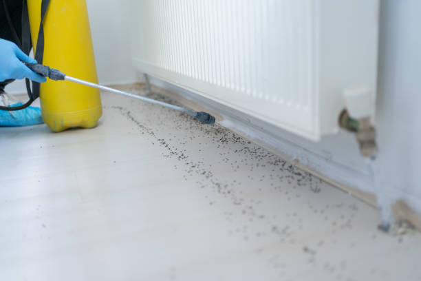 Best Pest Inspection Near Me  in Newk, AR