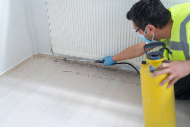 Best Pest Control Treatment  in Newk, AR