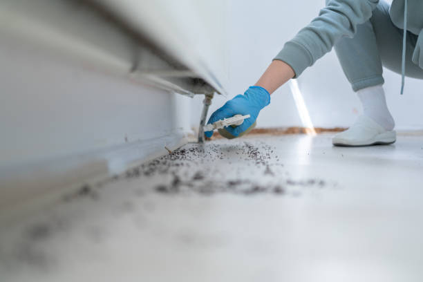 Trusted Newark, AR Pest Control Experts