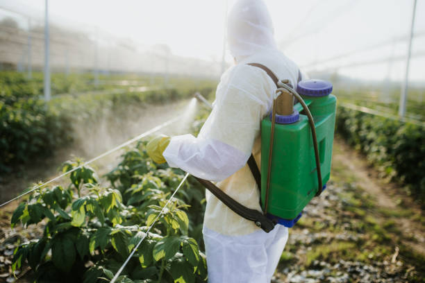 Newark, AR Pest Control Company